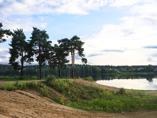 Summer landscape pine trees on the shore of a lake, Russia