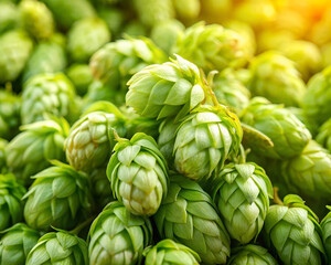 Fototapeta premium Fresh green hops closeup, creating a textured background, often associated with brewing and the beer-making process with vibrant, natural tones. 