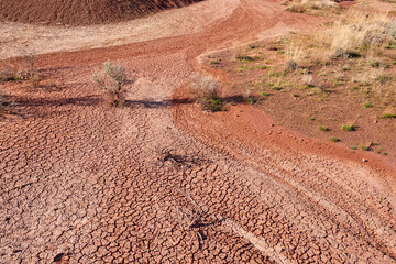 Dry soil texture of the Painted Hills geological formation in Oregon.