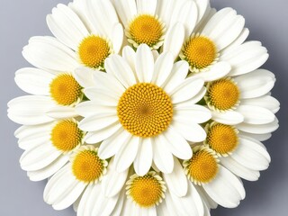 Naklejka premium Chamomile flowers bouquet