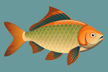 Crucian carp fish isolated vector art illustration