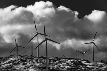 The wind turbines are a symbol of unity, a collective effort to create a better world.