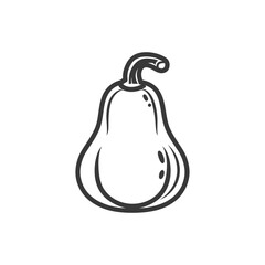 Line Drawing of a Single Pear Shaped Squash