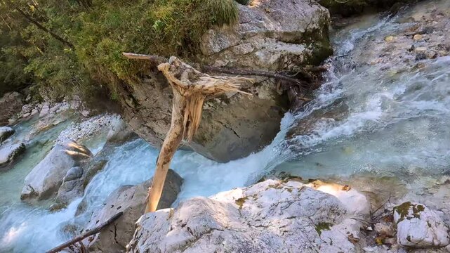 Zauberwald, Ramsau bei Berchtesgaden