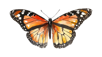 Fototapeta premium Butterfly with orange wings. The wings are spread out. The butterfly is on a white background. Flat vector illustration isolated.