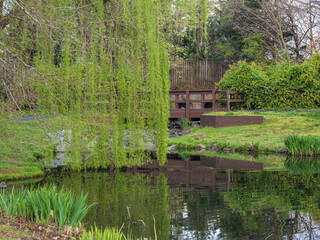 Obraz premium Green branches of a weeping willow tree and a brown bridge reflecting in the pond water in US neighborhood