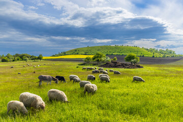 Typical landscape near Ranna, Ceske Stredohori, Northern Bohemia, Czech Republic