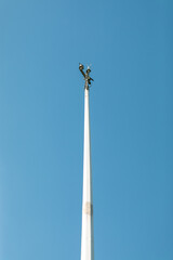 a bird on a pole