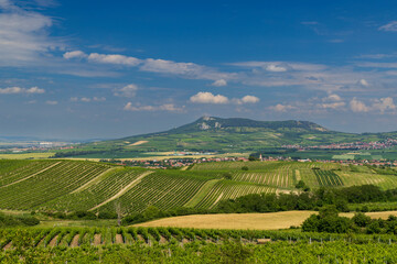 Vineyards under Palava,  Southern Moravia, Czech Republic