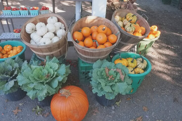 Baskets of pumpkins, cabage and other fall crops