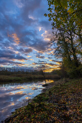 Gemenc, unique forest between Szekszard and Baja, Dunaj-Drava National Park, Hungary