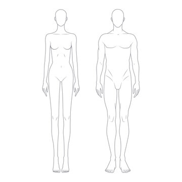 Front view anatomical outlines of male and female bodies, vector illustration for fashion design and anatomy reference.
