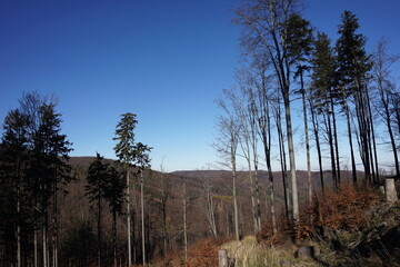 Góry Sowie, Polska © Strumyk