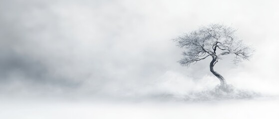 A lone tree in the middle of a foggy field