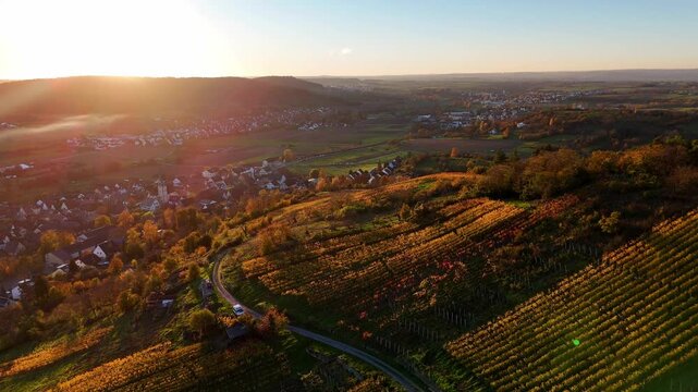 Aerial footage of reverse flight over beautiful autumnal vineyard and small town in Southern Germany at sunset