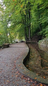 Caminho pelo parque