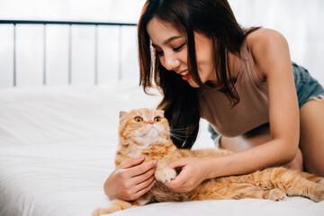 On the bed in their room, a woman and her Scottish Fold cat enjoy a moment of togetherness, exemplifying the special bond between owner and pet. Pat love