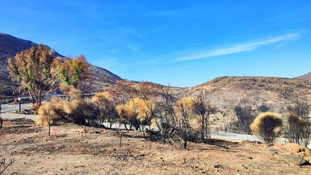 Photo of the charred slopes of Mount Pentelicus in Dionysos, Attica, Greece. This area has endured multiple wildfires over the years, with the most recent occurring in August 2021 and July 2022.