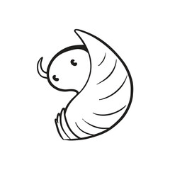 Seashell Spiral Macro