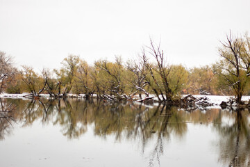 reflections on the river