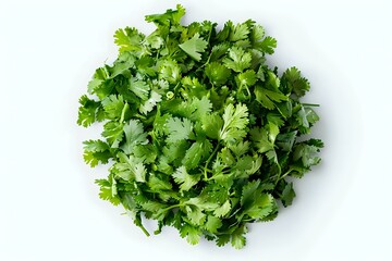 Obraz premium Fresh cilantro leaves arranged on a white background, isolated and ready for use in culinary designs, food advertisements, or organic product promotions.