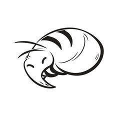 Fototapeta premium Seashell Spiral Macro
