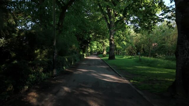Pathway surrounded by vegetation at the Hall Leys Park on a sunny day with shades on ground