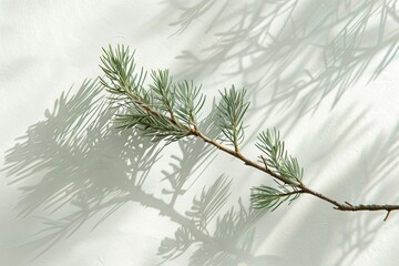 Obraz premium Elegant minimalist Christmas card with a snowflake border, soft shadows, clean and modern white background