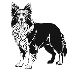 Border Collie Kennel Logo - Elegant Dog Illustration in  Design Style