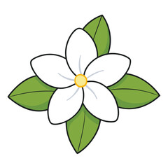 Arabian jasmine Flower flat vector illustration