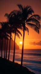 Fototapeta premium Palm trees silhouetted at sunset.