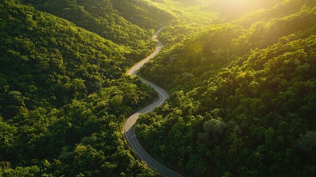 Serene winding road through lush green mountains during golden hour.