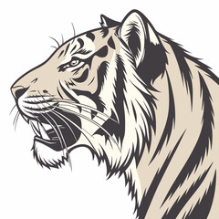 tiger head vector
