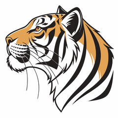 tiger head isolated on white