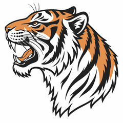 tiger head vector
