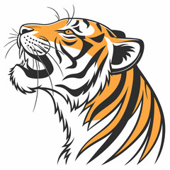 tiger head vector