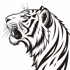 tiger head vector