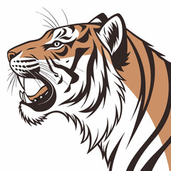 tiger head vector
