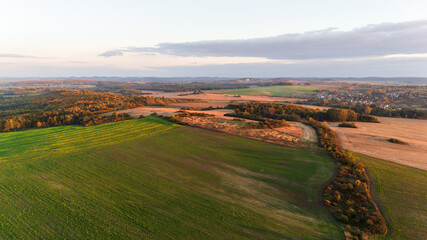Naklejka premium Kraków-Częstochowa Upland, autumn fields sown with catch crops, just before sunset, full of autumn golden hues and colors, top view from a drone.