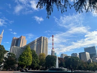 Obraz premium 噴水と公園