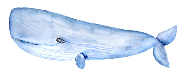 Whale fish is depicted in dark blue colors. © Галина Нечипорук