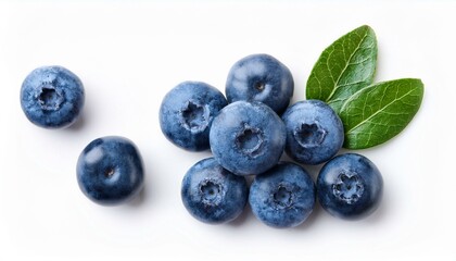 fresh blueberries with bluberry leaves isolated on white background top vew