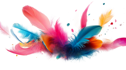 colorful feather on a transparent background