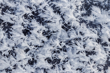 Big fluffy snowflakes on the surface of the ice. Winter and Christmas background