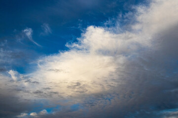 a white cloud lit by the evening sun in a dark blue sky