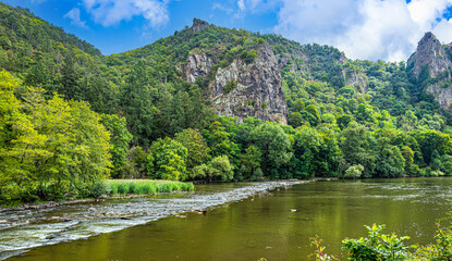 Fototapeta premium View of the river with rapids and wild birds.