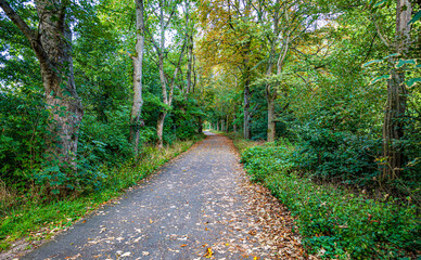path in the park