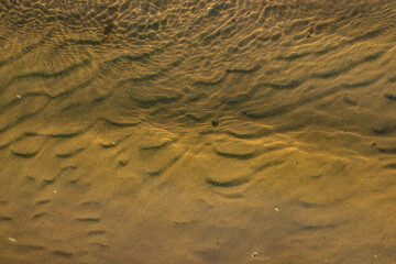 Underwater view of a sandy bottom with gentle wave patterns, casting soft shadows and light ripples, showing the serene beauty of a shallow aquatic environment.
