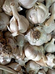 A pile of garlic seen close up