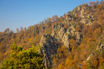 Golden autumn in the forest and mountains along the Donau river in Austria. Wachau region, Vogelberg mountain in the autumn season with yellow and orange leaves on the trees. Yellow leaf on october